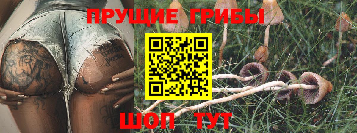 Галлюциногенные грибы MAGIC MUSHROOMS  Вход с VPN  Азов 